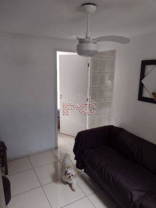 S�o Paulo/SP - Conjunto Residencial Jos� Bonif�cio